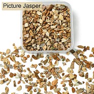 50G Natural Picture Jasper Chips, No Hole/Undrilled, 4~8x3~4.5x2~4mm(G-YW0001-73)