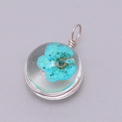 Transparent Glass Pendants, with Dried Flower inside and Stainless Steel Finding, Flat Round, Stainless Steel Color, Deep Sky Blue, 20~23x15x12mm, Hole: 1.5mm(GLAA-TAC0003-06O)