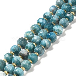 Natural Apatite Beads Strands, with Seed Beads, Faceted Rondelle, 7~8x5~6mm, Hole: 1mm, about 45~46pcs/strand, 14.57''~14.96''(37~38cm)(G-P508-A15-01)