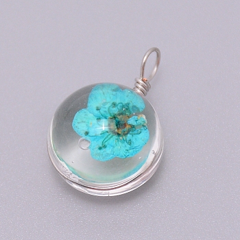 Transparent Glass Pendants, with Dried Flower inside and Stainless Steel Finding, Flat Round, Stainless Steel Color, Deep Sky Blue, 20~23x15x12mm, Hole: 1.5mm