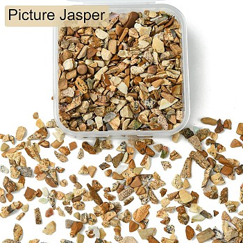 50G Natural Picture Jasper Chips, No Hole/Undrilled, 4~8x3~4.5x2~4mm