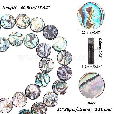Elite 1 Strand Natural Abalone Shell/Paua Shell Beads Strands(BSHE-PH0001-31)-2