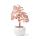 Natürliche Rosenquarzsplitter mit messingumwickeltem Geldbaum aus Draht auf Keramikvasen als Dekoration(DJEW-B007-02E)-1