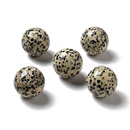 Natural Dalmatian Jasper Beads, No Hole/Undrilled, Round, 25~25.5mm(G-A206-02-08)