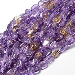 Natural Ametrine Nuggets Beads Strands, Tumbled Stone, 9~12x8~13x5~7mm, Hole: 1mm, about 15.3 inch~15.7 inch(G-J336-16)