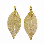 Iron Big Pendants, Electroplate Natural Leaf, Leaf, Golden Plated, 52~53x19~20x1.5mm, Hole: 3x5.5mm(X-IFIN-T006-08G)