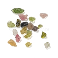 Natural Tourmaline Chip  Beads, No Hole/Undrilled, 1~3mm(G-B101-01)