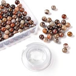 100Pcs 8mm Natural Petrified Wood Round Beads, with 10m Elastic Crystal Thread, for DIY Stretch Bracelets Making Kits, 8mm, Hole: 1mm(DIY-LS0002-04)
