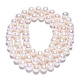 Natural Cultured Freshwater Pearl Beads Strands(PEAR-N016-06B)-4