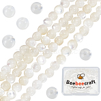 2 Strands Natural White Shell Beads Strands, Round, White, 2mm, Hole: 0.5mm, about 199pcs/strand, 15.55 inch(39.5cm)(SHEL-BBC0001-05)
