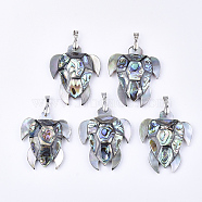 Shell Pendants, with Brass Findings, Sea Turtle, Platinum, Colorful, 48~52x39~42x9mm, Hole: 6x4mm(SHEL-S275-59)
