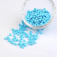 6/0 Opaque Colours Round Glass Seed Beads, Light Sky Blue, Size: about 4mm in diameter, hole:1.5mm, about 495pcs/50g(X-SEED-A010-4mm-43)