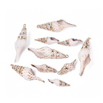 Electroplate Natural Sea Shell Pendants, Shell Shape Charms, with Iron Loops and Brass Findings, White, Light Gold, 23~48x7~14x6~13mm, Hole: 1.4~1.8mm
