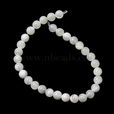 Natural Trochid Shell/Trochus Shell Beads Strands(SH-CBA2978-16B)-3