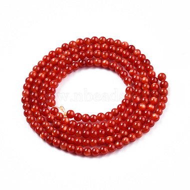 Eau douce naturelle de coquillage perles brins(SHEL-N026-205A-01)-2