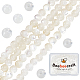 2 Strands Natural White Shell Beads Strands(SHEL-BBC0001-05)-1