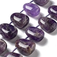 Natural Amethyst Beads Strands, Teardrop, Top Drilled, 22.5~26x14.5~19x12~14.5mm, Hole: 0.9mm, about 8~9pcs/strand, 7.48''~8.66''(19~22cm)(G-P528-E06-01)