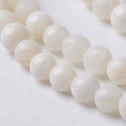 Natural Shell Round Bead Strands, White, 6~7mm, Hole: 1mm, about 62pcs/strand, 15.6 inch(X-BSHE-O016-B-03)