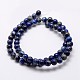 Natural Lapis Lazuli Beads Strands(X-G-A163-07-10mm)-2