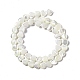 Natural Trochid Shell/Trochus Shell Beads Strands(SHEL-F003-09)-4