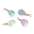 Natural Fluorite Pendants, with Golden Copper Wire Findings, Teardrop, Mixed Color, 20~20.5x9x7mm, Hole: 2mm(PALLOY-JF00607)