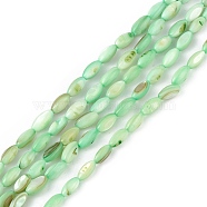 Natural Freshwater Shell Dyed Beads Strands, Horse Eye, Dark Sea Green, 9.5x5mm, Hole: 0.8mm, about 41pcs/strand, 14.96''(38cm)(SHEL-M018-13-03)