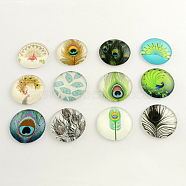 Feather Pattern Flatback Half Round Glass Dome Cabochons, for DIY Projects, Mixed Color, 16x4mm(GGLA-R026-16mm-26)