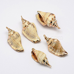 Golden Electroplated Conch Shell Pendants, 26~52x13~23x15~17mm, Hole: 2mm(BSHE-M016-02)