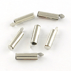 Iron Slide On End Clasp Tubes, Slider End Caps, Cadmium Free & Lead Free, Platinum, 20x4mm, 3.2mm inner diameter(X-IFIN-R212-01P-2.0cm)