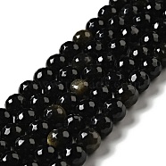 Natural Golden Sheen Obsidian Beads Strands, Round, Faceted, 7.5~8mm, Hole: 1.2~1.4mm, about 45~48pcs/strand, 14.65''~15.08''(37.2~38.3cm)(G-P476-01C-04)
