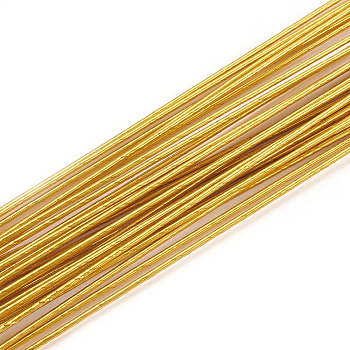 Round Iron Wire, Floral Wire, for Florist Flower Arrangement, Bouquet Stem Warpping and DIY Craft, Goldenrod, 24 Gauge, 0.5mm, about 1-5/8 inch(40cm)/strand, 100 strand/bag
