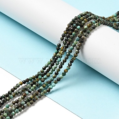 Natural African Turquoise(Jasper) Beads Strands(G-P472-01)-2
