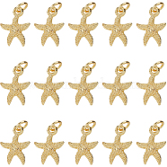 30Pcs Electroplated Alloy Charms, Long-Lasting Plated, with Brass Jump Ring, Starfish/Sea Stars, Golden, 14.5x11x3mm, Hole: 3.5mm, 30pcs(FIND-SC0012-41)