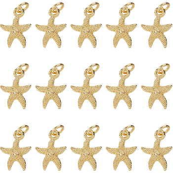 30Pcs Electroplated Alloy Charms, Long-Lasting Plated, with Brass Jump Ring, Starfish/Sea Stars, Golden, 14.5x11x3mm, Hole: 3.5mm, 30pcs