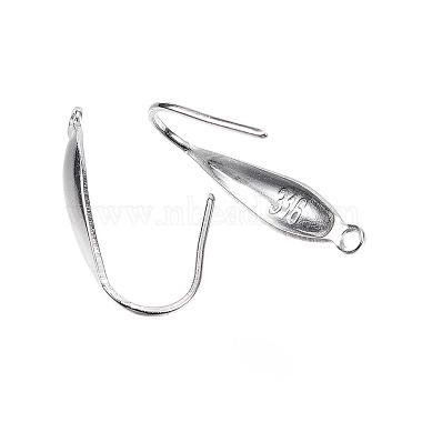 316 Surgical Stainless Steel Earring Hooks(STAS-D448-043P)-2