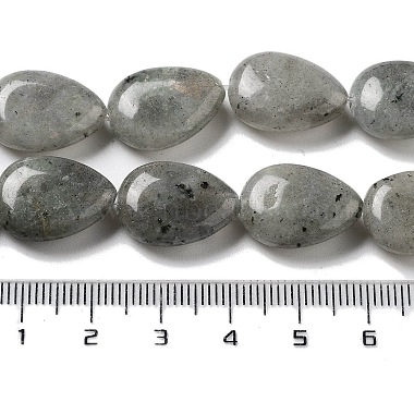 Natural Labradorite Beads Strands(G-P528-L03-01)-5