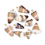 Brass & Natural Cone Shell Pendants, Cone Charms, Light Gold, Mixed Color, 25~46x12~23x12~22mm, Hole: 4~5x3.5mm(SHEL-Q029-20-01KCG)