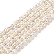 Natural Cultured Freshwater Pearl Beads Strands, Rice, Grade 2A+, PapayaWhip, 6~12.5x5~6mm, Hole: 0.5mm, about 44~45pcs/strand, 13.78 inch(35cm)(PEAR-E016-152)