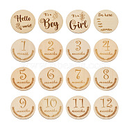 Basswood Milestone Cards, with Word, Flat Round, BurlyWood, 100x3mm, 12pcs/set, 2sets/bag(WOOD-TA0001-41A)