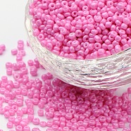 Baking Paint Glass Seed Beads, Hot Pink, 8/0, 3mm, Hole: 1mm, about 10000pcs/bag(SEED-S002-K2)