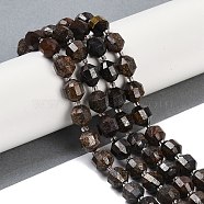 Natural Bronzite Beads Strands, Faceted, Bicone, Double Terminated Point Prism Beads, 10x9mm, Hole: 1.2mm, about 38pcs/strand, 15.08''(38.3cm)(G-O201B-137G)