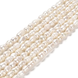 Natural Cultured Freshwater Pearl Beads Strands, Rice, Grade 2A+, PapayaWhip, 6~12.5x5~6mm, Hole: 0.5mm, about 44~45pcs/strand, 13.78 inch(35cm)(PEAR-E016-152)
