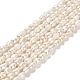 Natural Cultured Freshwater Pearl Beads Strands(PEAR-E016-152)-1