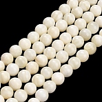 Natural Freshwater Shell Beads Strands, Smooth Round, Seashell Color, 7.5mm, Hole: 0.5mm, about 54pcs/strand, 15.24 inch(38.7cm)(SHEL-C010-06)