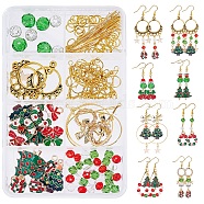 SUNNYCLUE DIY Christmas Theme Earring Making Kits, including Alloy Links & Charms, Glass & Rhinestone Beads, Brass Pendants & Rings & Pins & Earring Hooks, Golden, 15x2mm, Hole: 9mm(DIY-SC0019-45)