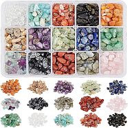 Natural Gemstone Chips Beads, for Jewelry Making, 5~10mm, Hole: 0.3~1mm, 15 stones(G-NB0001-53)