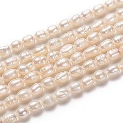Natural Cultured Freshwater Pearl Beads Strands, Rice, Bisque, 5~7x4~5mm, Hole: 0.5mm, about 43~55pcs/strand, 13.39~13.78''(34~35cm)(PEAR-J005-61)