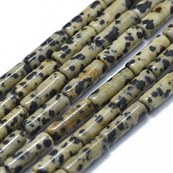 Natural Dalmatian Jasper Beads Strands, Column, 11~15x3.5~4.5mm, Hole: 1~1.2mm, about 28~30pcs/strand, 15.1~15.9 inch(38.5~40.5cm)(G-F631-D23)