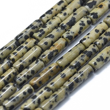 Natural Dalmatian Jasper Beads Strands, Column, 11~15x3.5~4.5mm, Hole: 1~1.2mm, about 28~30pcs/strand, 15.1~15.9 inch(38.5~40.5cm)