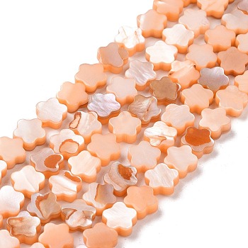 Natural Freshwater Shell Beads Strands, Dyed, Flower, PeachPuff, 8x8x3mm, Hole: 0.8mm, about 52pcs/strand, 15.16''(38.5cm)